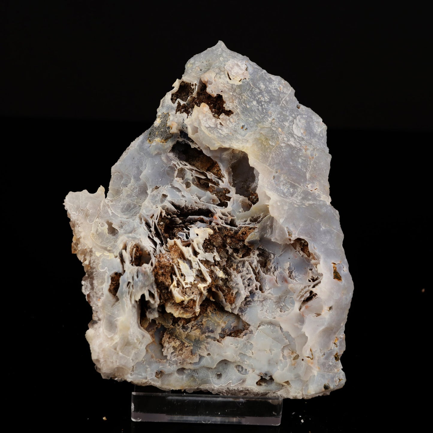 Fluorite on Amethyst Natural Mineral Specimen # B 5606 Fluorite Superb Minerals 