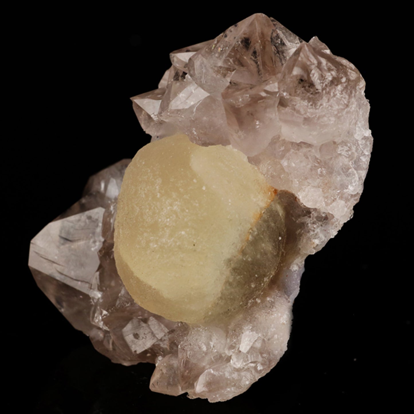 Fluorite on Amethyst Natural Mineral Specimen # B 5619 Fluorite Superb Minerals 