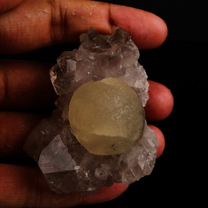 Fluorite on Amethyst Natural Mineral Specimen # B 5619 Fluorite Superb Minerals 