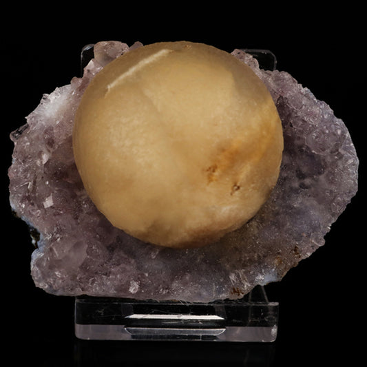 Fluorite on Amethyst Natural Mineral Specimen # B 5621 Fluorite Superb Minerals