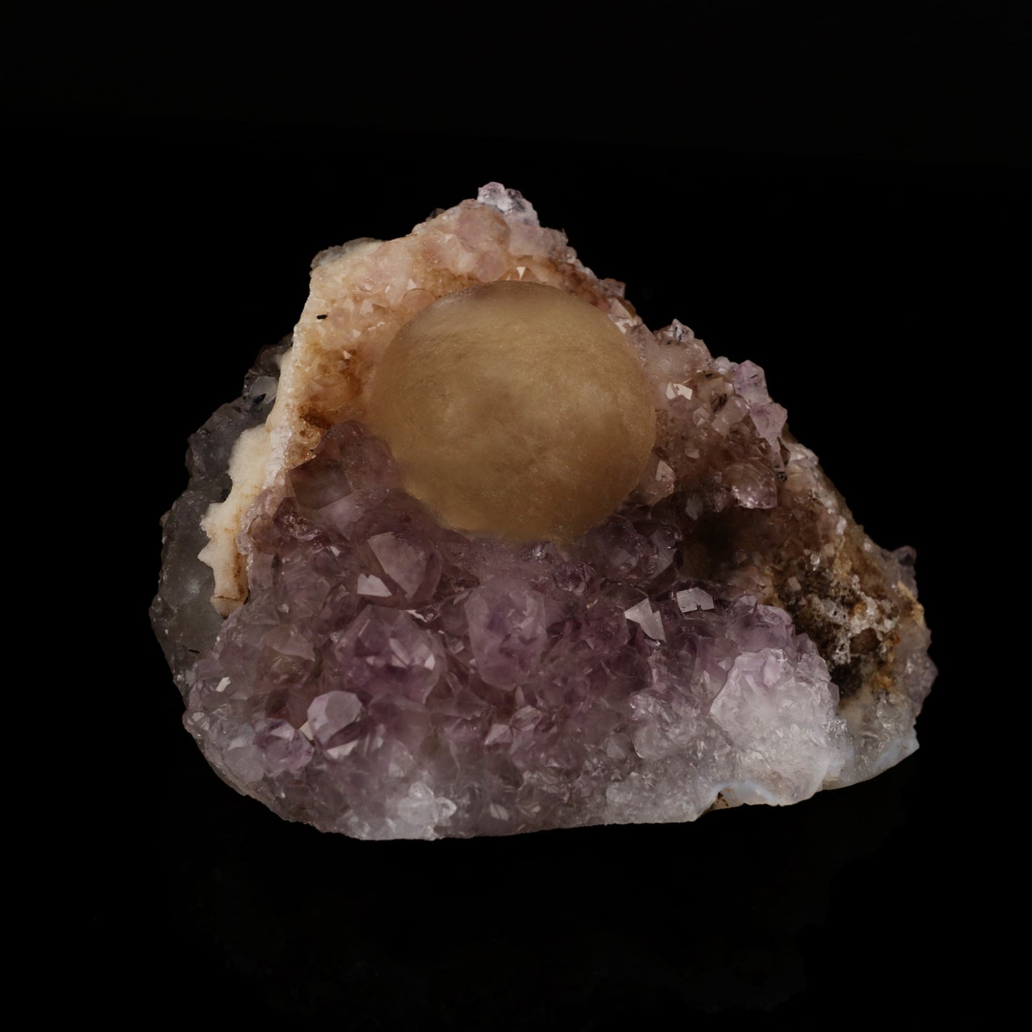 Fluorite on Amethyst Natural Mineral Specimen # B 5637 Fluorite Superb Minerals