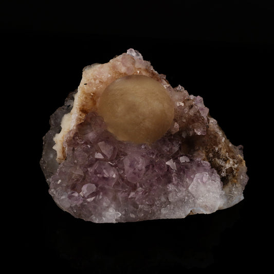Fluorite on Amethyst Natural Mineral Specimen # B 5637 Fluorite Superb Minerals