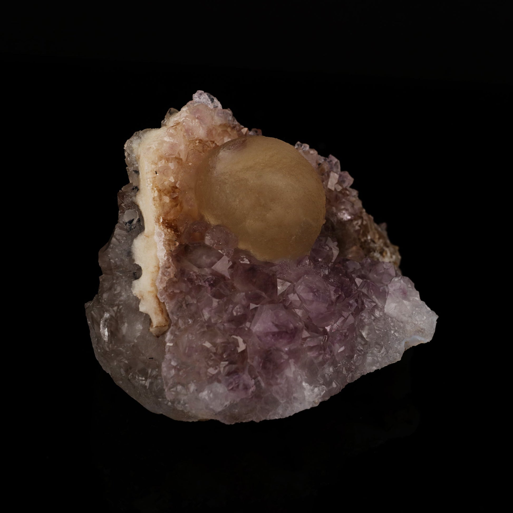 Fluorite on Amethyst Natural Mineral Specimen # B 5637 Fluorite Superb Minerals