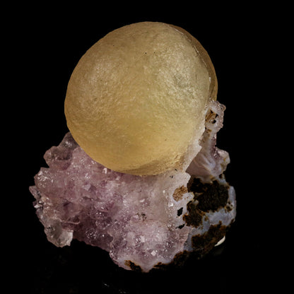 Fluorite on Amethyst Natural Mineral Specimen # B 5720 Fluorite Superb Minerals 
