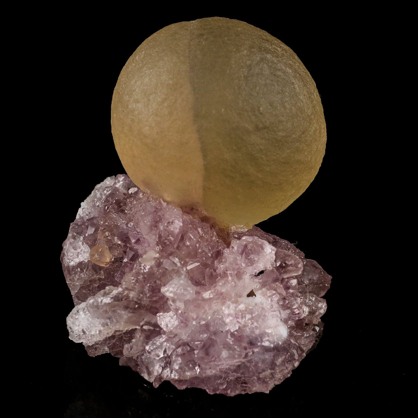 Fluorite on Amethyst Natural Mineral Specimen # B 5720 Fluorite Superb Minerals 