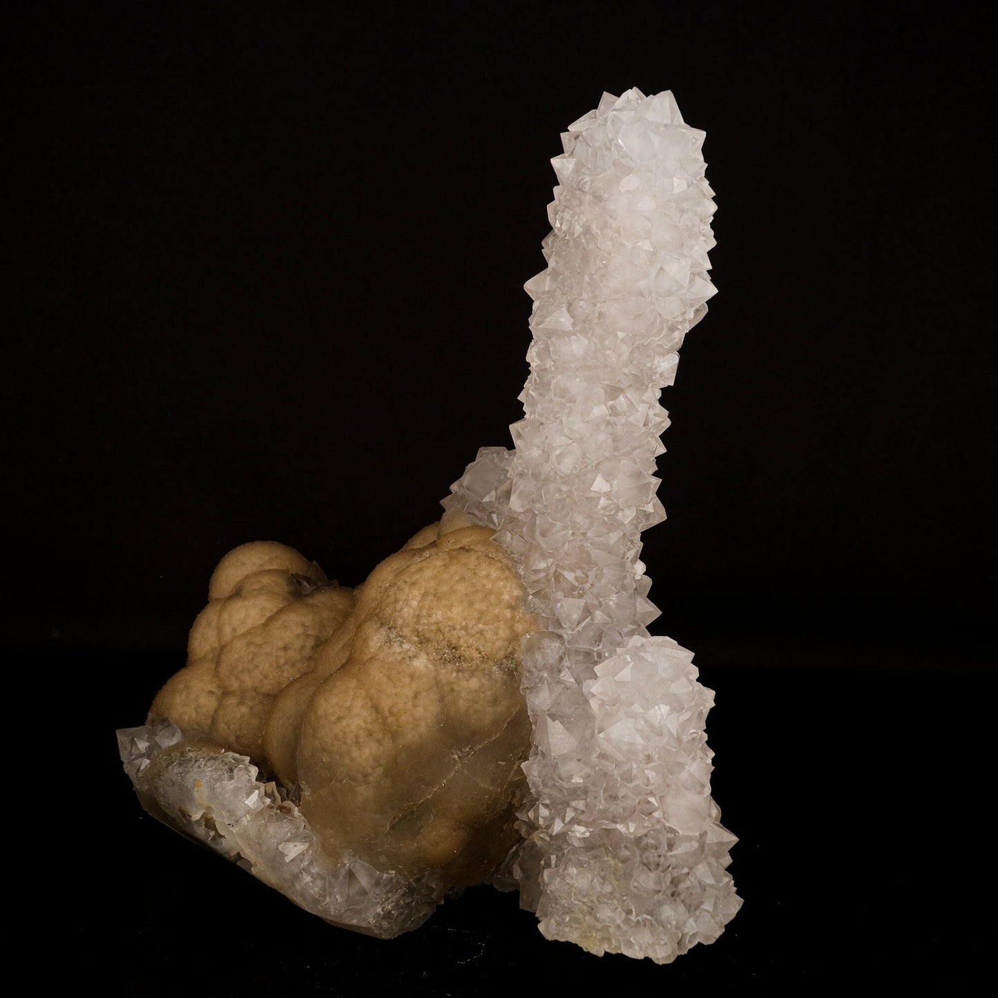Fluorite on MM Quartz Free Standing Natural Mineral Specimen # B 6649 Fluorite Superb Minerals