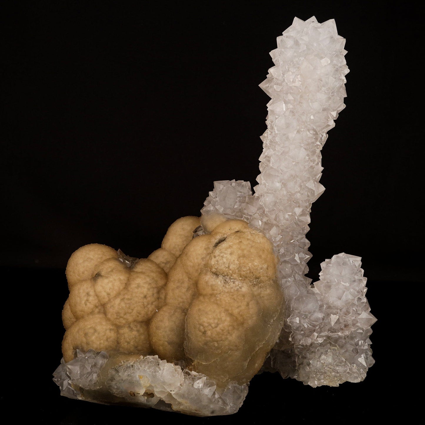 Fluorite on MM Quartz Free Standing Natural Mineral Specimen # B 6649 Fluorite Superb Minerals