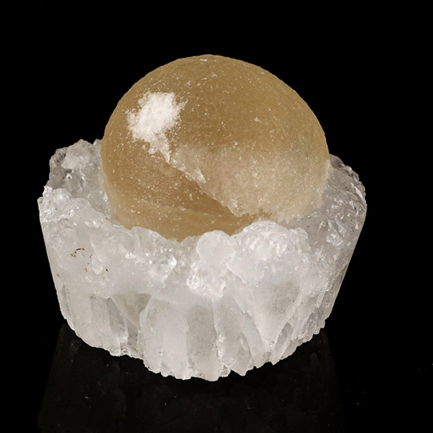 Fluorite on MM Quartz geode Natural Mineral Specimen # B 6141 Fluorite Superb Minerals