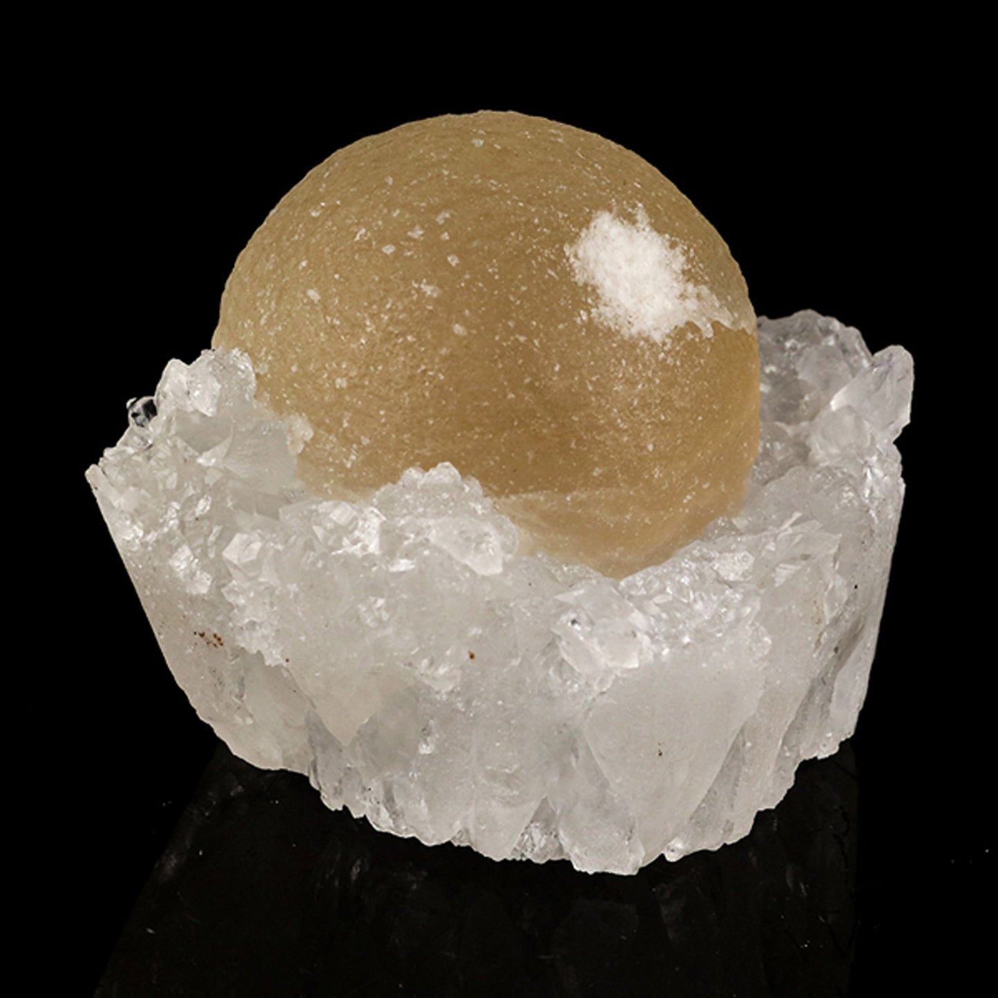 Fluorite on MM Quartz geode Natural Mineral Specimen # B 6141 Fluorite Superb Minerals