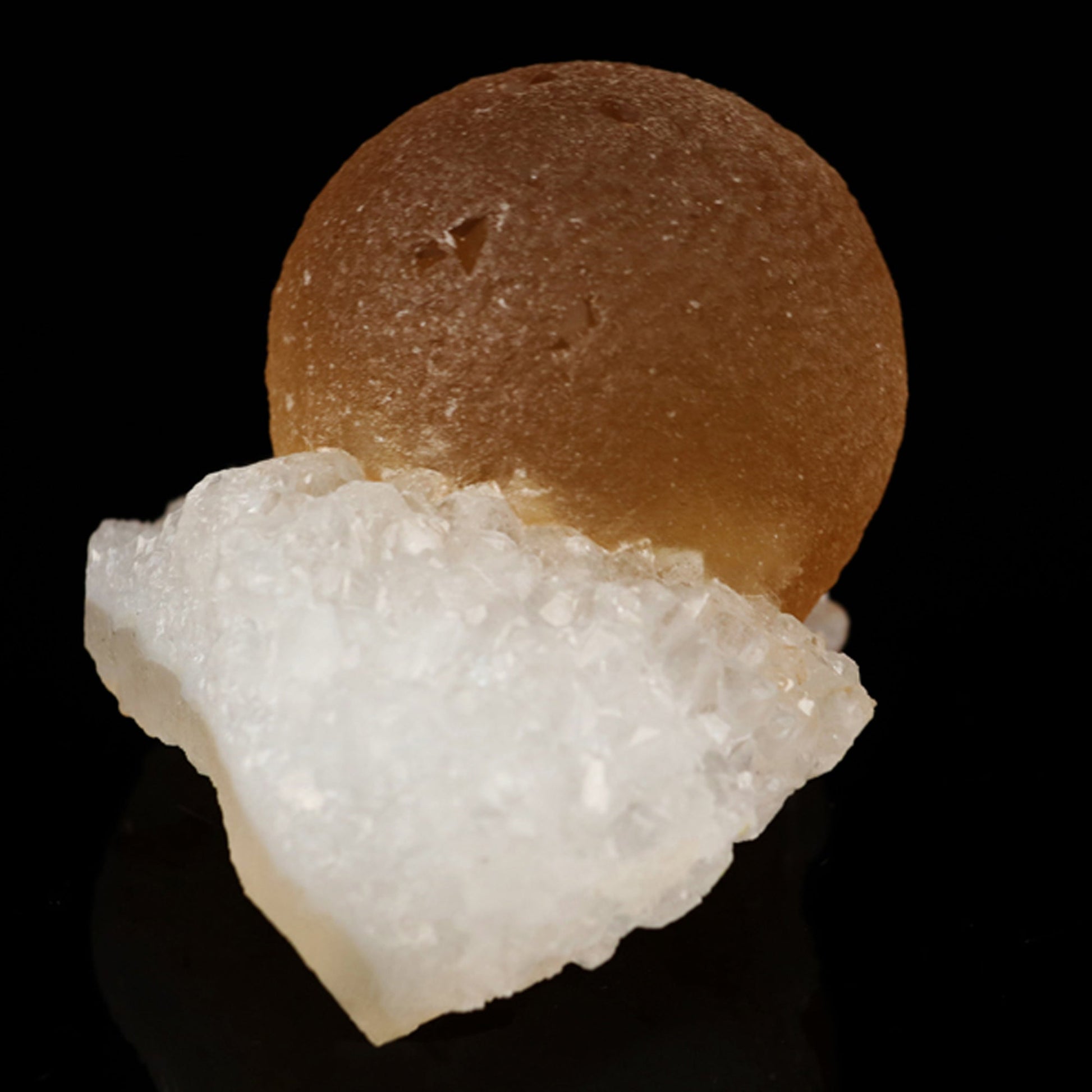 Fluorite on MM Quartz Natural Mineral Specimen # B 5617 Fluorite Superb Minerals 