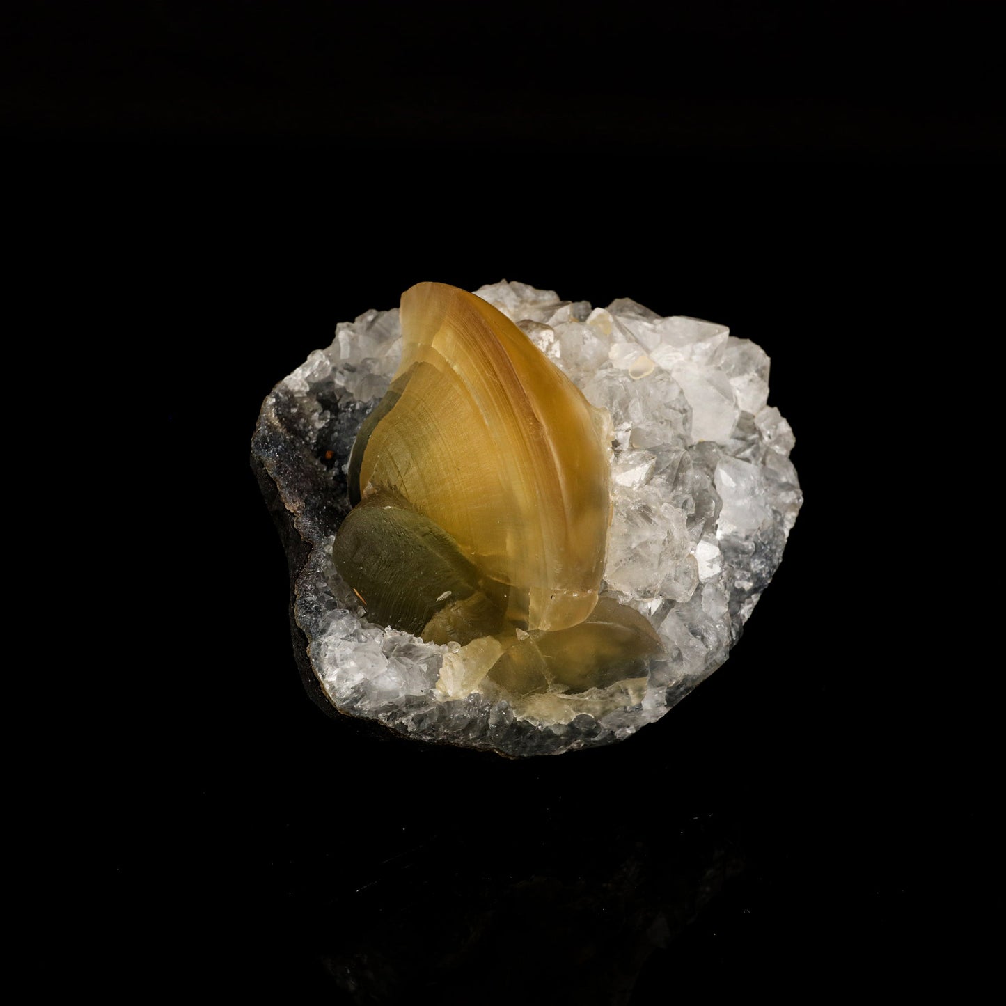Fluorite on MM Quartz Natural Mineral Specimen # B 6116 Fluorite Superb Minerals