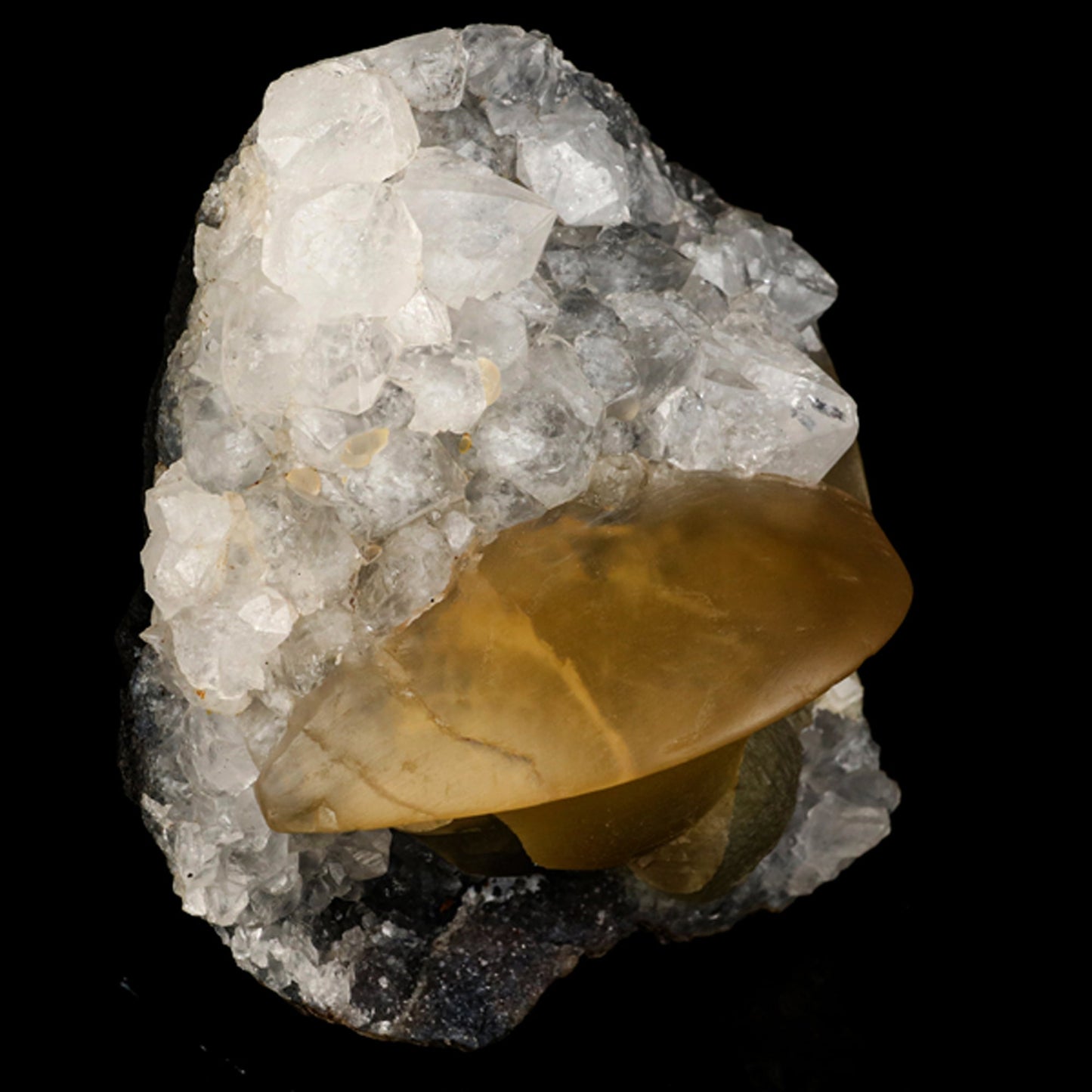Fluorite on MM Quartz Natural Mineral Specimen # B 6116 Fluorite Superb Minerals