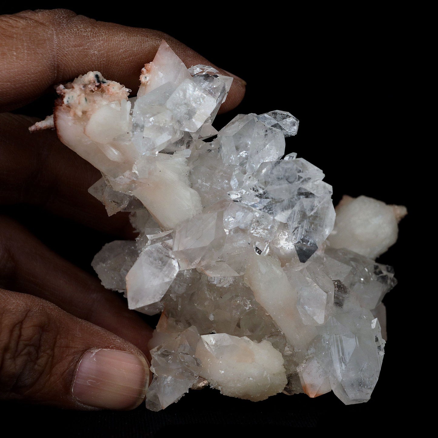 Gemmy Pointed Apophyllite with Stilbite Barbellate Formation # B 4167 https://www.superbminerals.us/products/gemmy-pointed-apophyllite-with-stilbite-barbellate-formation-b-4167 Features:Beautiful gem Apophyllite crystals decorated by Stilbite. It displays superb colorless up to bit reddish crystals. They have razor sharp octahedral shape. The crystals have glassy luster and pretty striations. The Apophyllite is from translucent to transparent and gemmy. Stilbite grow on the Apophyllite