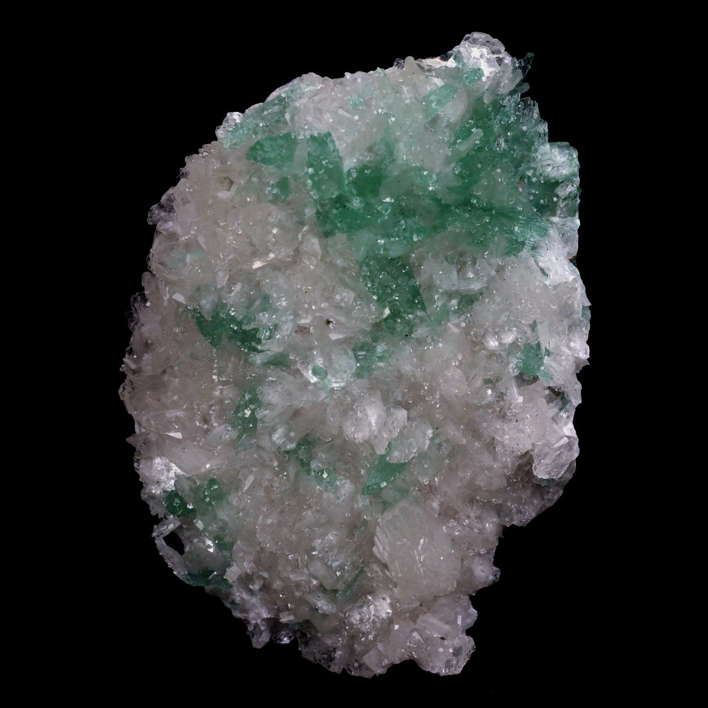 Green Apophyllite Crystals with Stilbite Big Cluster Natural Mineral S… https://www.superbminerals.us/products/green-apophyllite-crystals-with-stilbite-big-cluster-natural-mineral-specimen-b-4785 Features: Large basalt matrices coated in strikingly beautiful two-toned gemmy tetragonal apophyllite crystals have beautiful starbursts, sprays, and clusters of gemmy, creamy stilbite blades strewn throughout them. The rich mint-green bodies of the apophyllite crystals are terminated by colourless