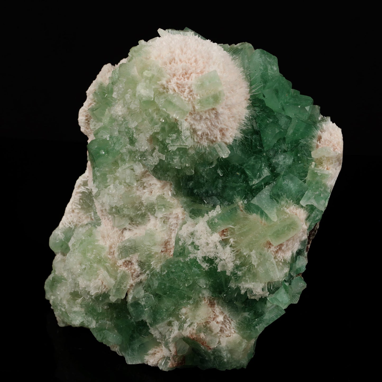 Green Apophyllite with Mordenite self standing Natural Mineral Specimen # B 5580 Apophyllite Superb Minerals
