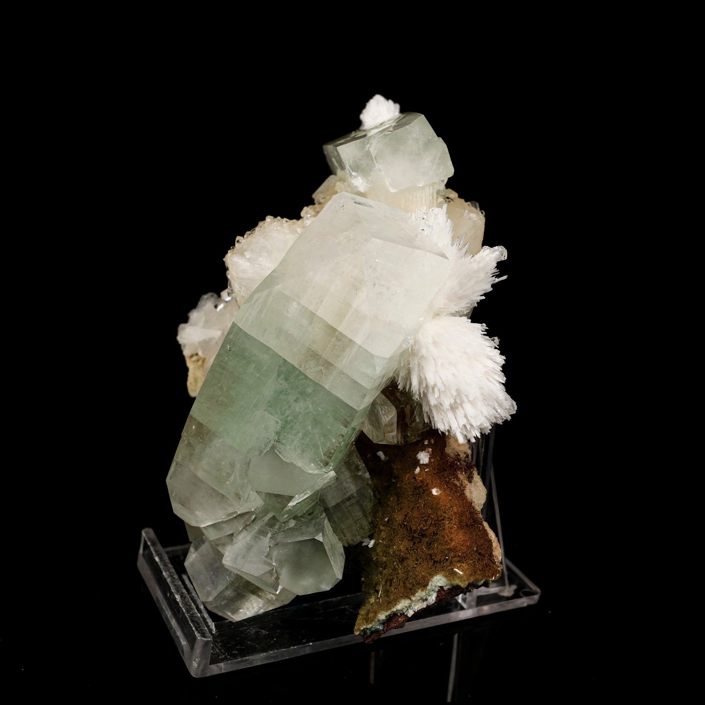 Green Apophyllite with Scolecite Spray Natural Mineral Specimen # B 6231 Apophyllite Superb Minerals