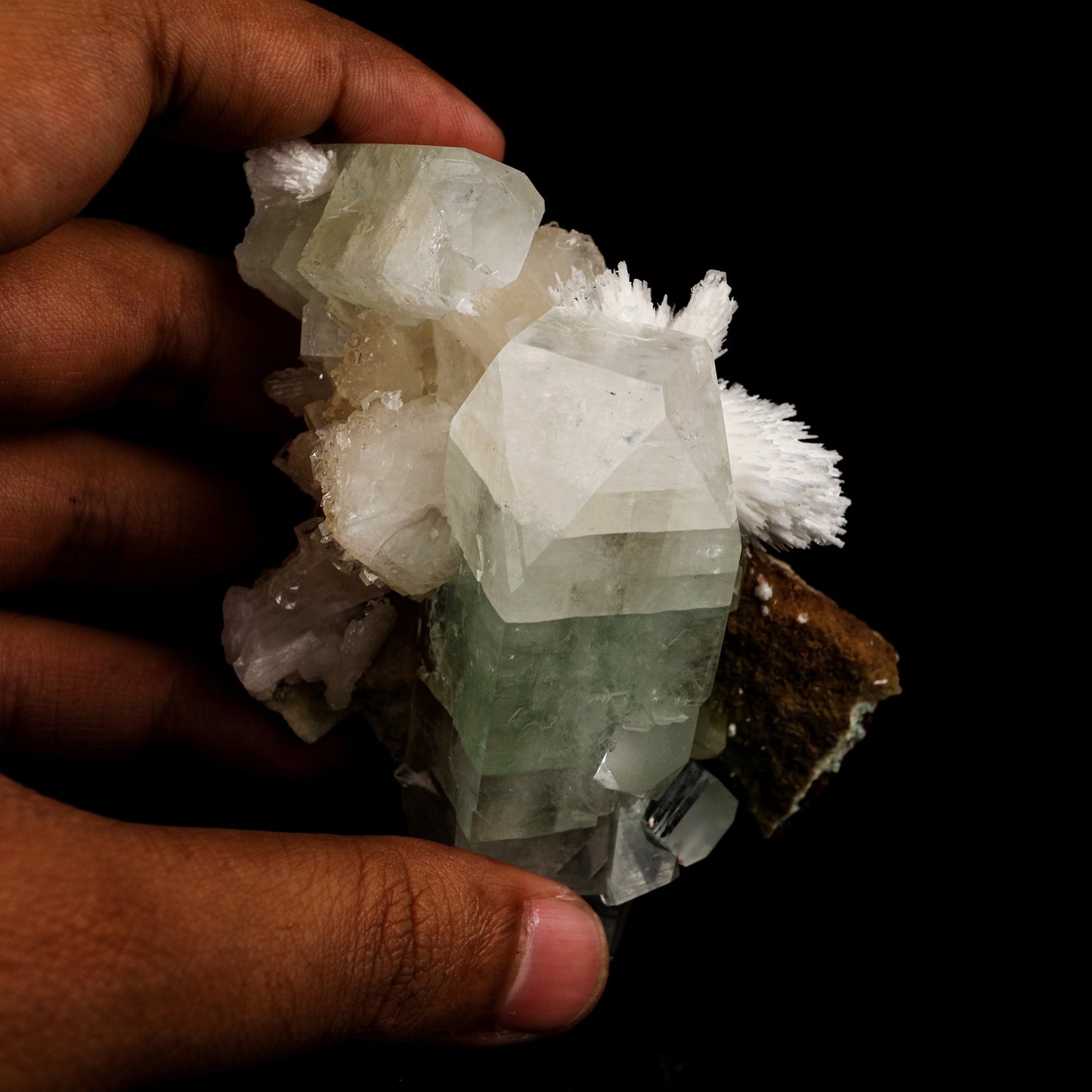 Green Apophyllite with Scolecite Spray Natural Mineral Specimen # B 6231 Apophyllite Superb Minerals