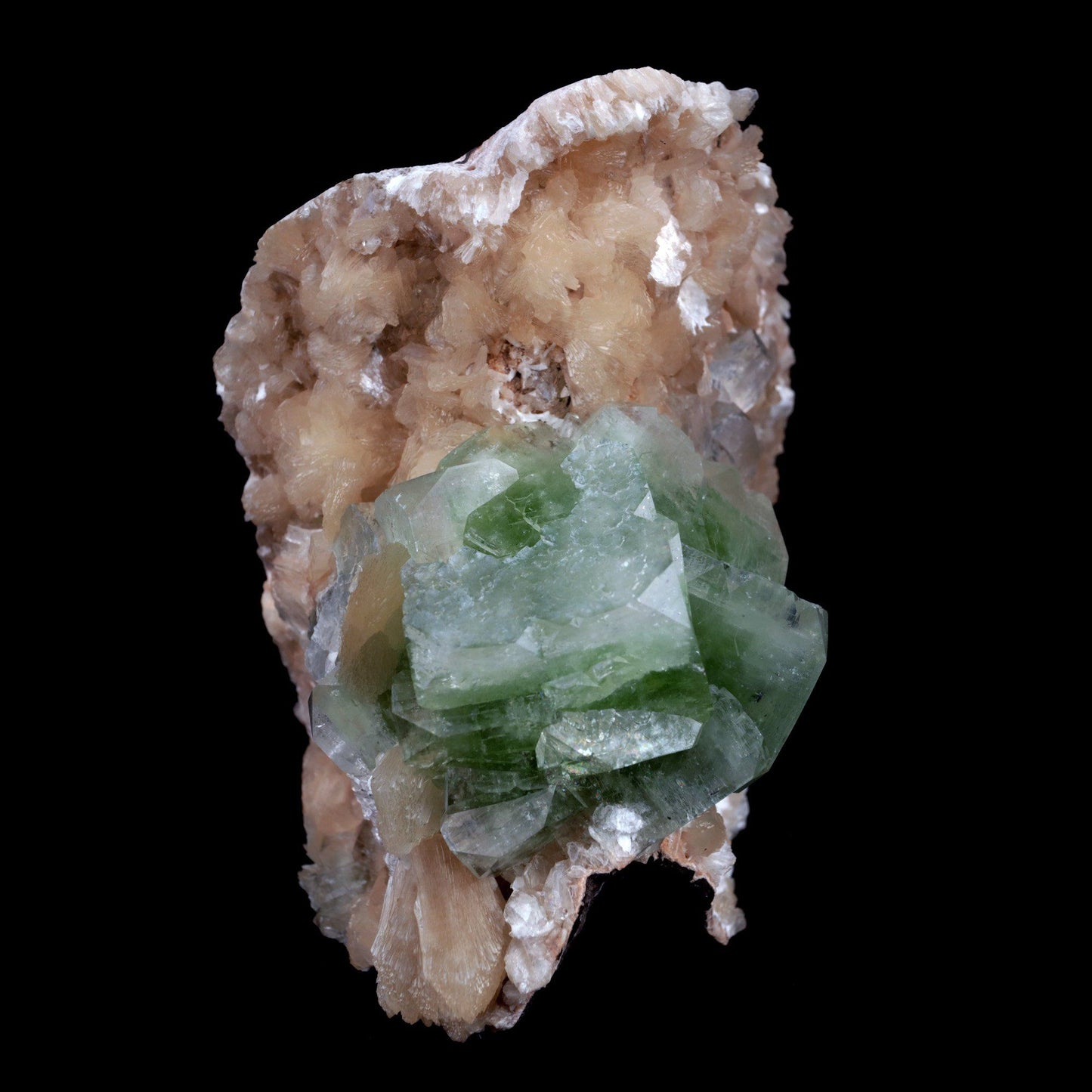 Green Apophyllite With Stilbite Natural Mineral Specimen # B 3903 https://www.superbminerals.us/products/green-apophyllite-with-stilbite-natural-mineral-specimen-b-3903 FeaturesA huge cabinate size specimen facilitating various glossy, straightforward, mint-green pseudocubic Apophyllite gems with altered corners all on a bed of peach shaded Stilbite bunch. The shade of the Apophyllite is remarkable just like the difference and equilibrium.