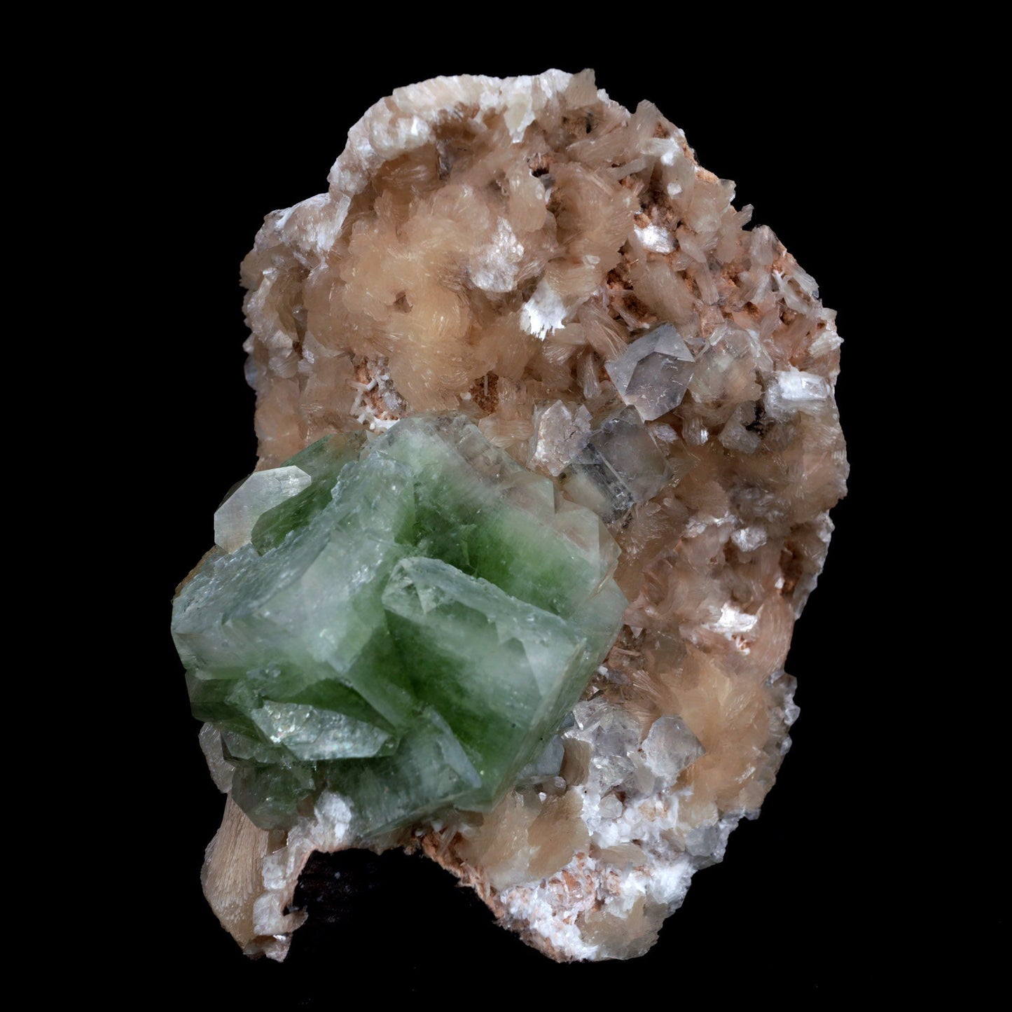Green Apophyllite With Stilbite Natural Mineral Specimen # B 3903 https://www.superbminerals.us/products/green-apophyllite-with-stilbite-natural-mineral-specimen-b-3903 FeaturesA huge cabinate size specimen facilitating various glossy, straightforward, mint-green pseudocubic Apophyllite gems with altered corners all on a bed of peach shaded Stilbite bunch. The shade of the Apophyllite is remarkable just like the difference and equilibrium.
