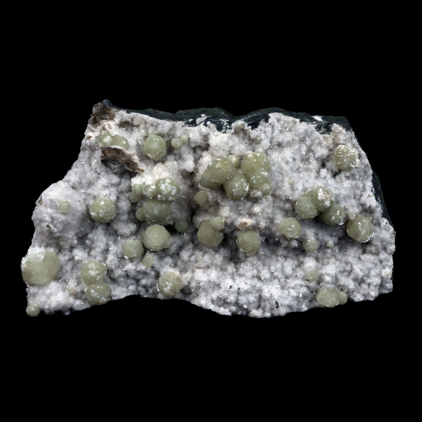 Gyrolite Balls on Chalcedony Natural Mineral Specimen # B 4898  https://www.superbminerals.us/products/gyrolite-balls-on-chalcedony-natural-mineral-specimen-b-4898  Features: Magnificent gyrolite balls scattered throughout a chalcedony matrix.extremely interesting item to have in one's collection Primary Mineral(s): GyroliteSecondary Mineral(s): N/AMatrix: Chalcedony