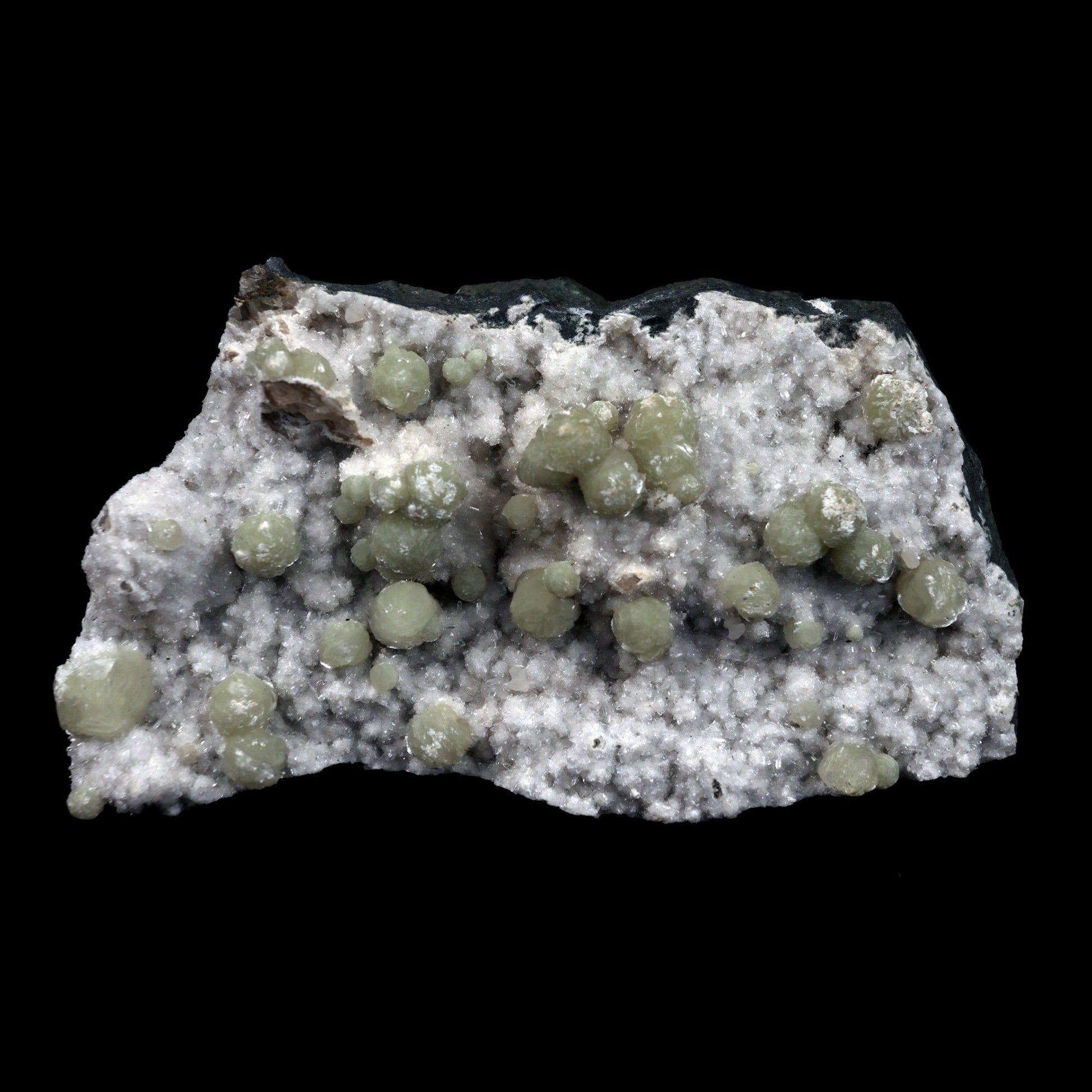 Gyrolite Balls on Chalcedony Natural Mineral Specimen # B 4898  https://www.superbminerals.us/products/gyrolite-balls-on-chalcedony-natural-mineral-specimen-b-4898  Features: Magnificent gyrolite balls scattered throughout a chalcedony matrix.extremely interesting item to have in one's collection Primary Mineral(s): GyroliteSecondary Mineral(s): N/AMatrix: Chalcedony