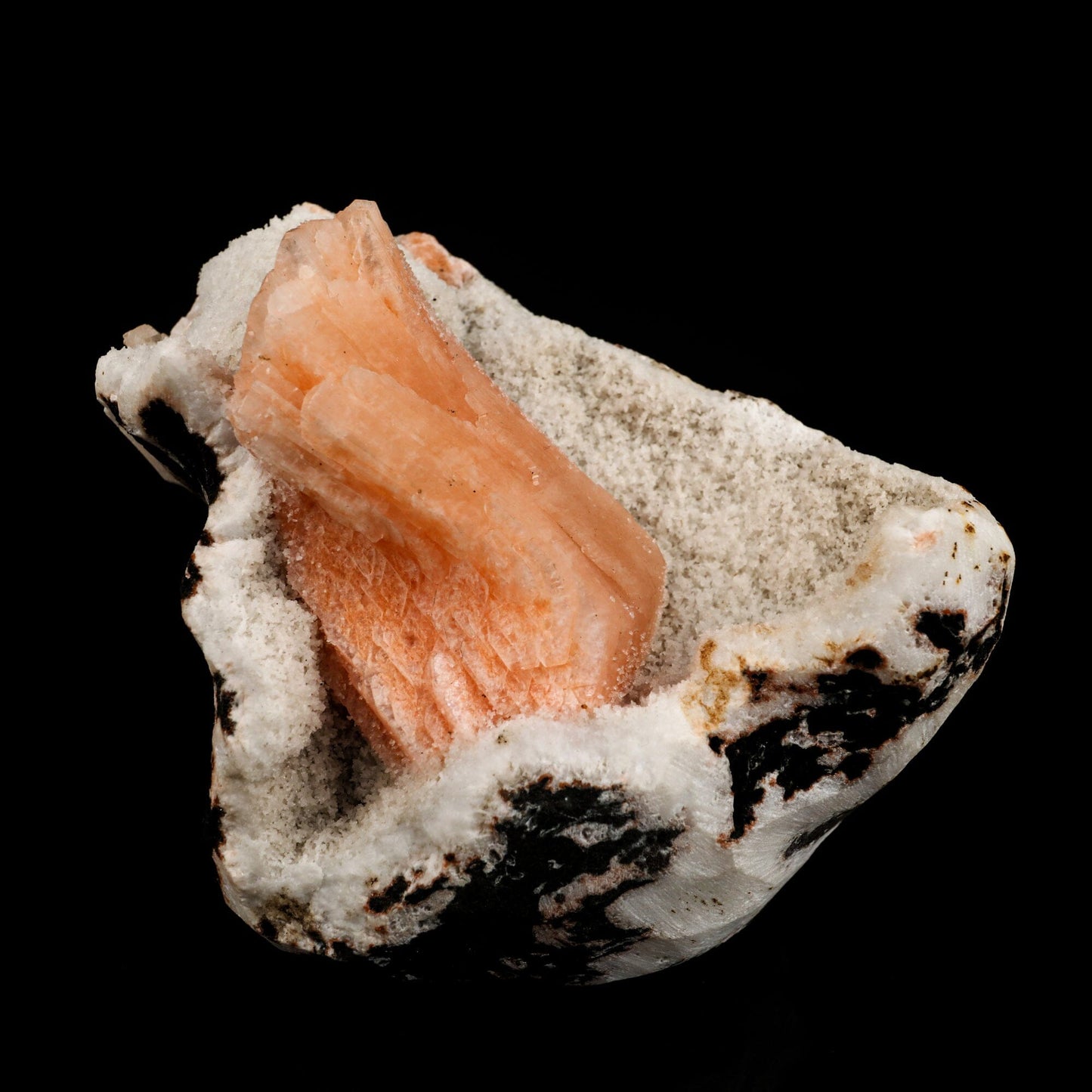 Heulandite Bow on Chalcedony Free Standing Natural Mineral Specimen # B 6493 Heulandite Superb Minerals