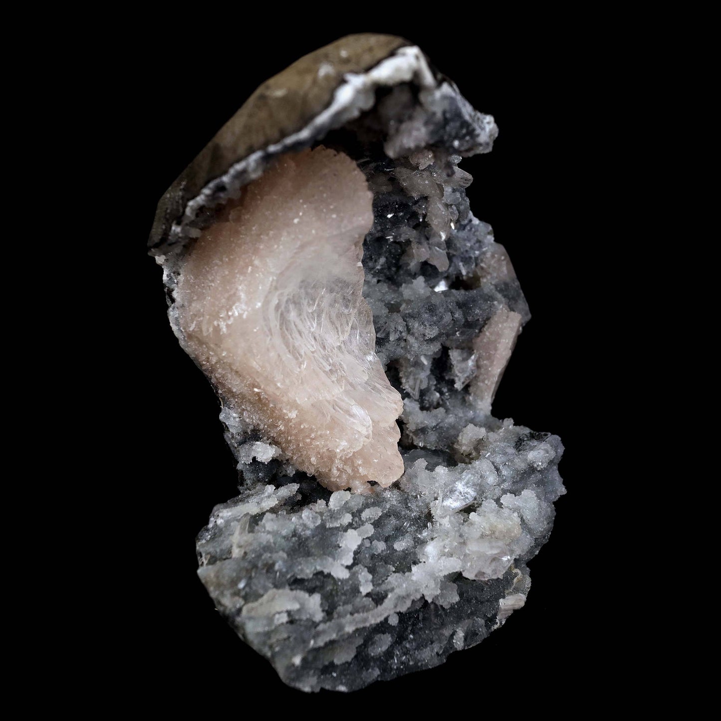 Heulandite Crystal Inside Black Chalcedony Geode Natural Mineral Speci… https://www.superbminerals.us/products/heulandite-crystal-inside-black-chalcedony-geode-natural-mineral-specimen-b-4491 Features:A stunning wedge heulandite crystal is forcefully placed in a sculptural, well-prepared basalt vug bordered with a sharply contrasting sparkling grey drusy chalcedony.The magnificent glassy, iridescent, transparent parallel-growth bladed heulandite has a lovely rich coral-pink hue with unique curving