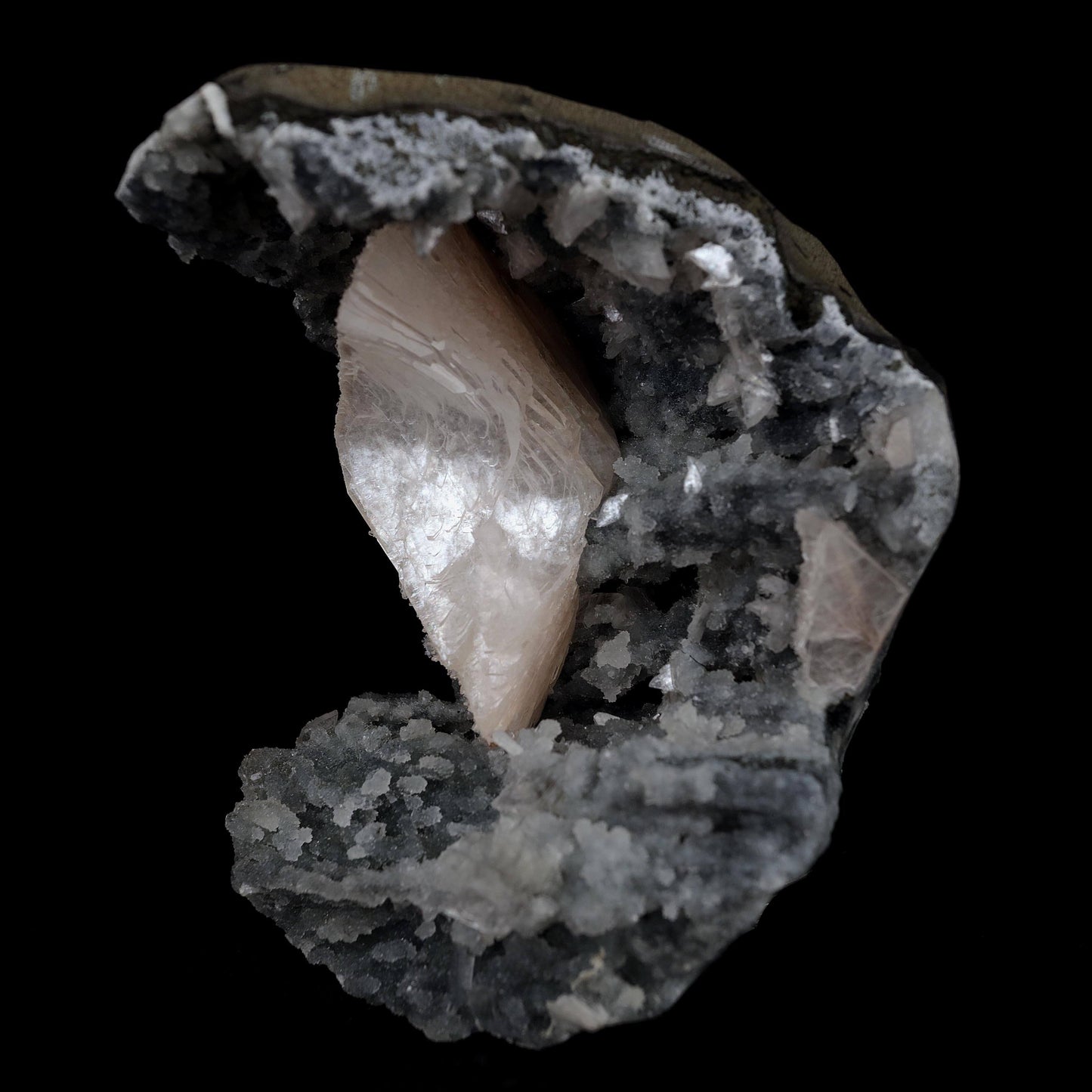 Heulandite Crystal Inside Black Chalcedony Geode Natural Mineral Speci… https://www.superbminerals.us/products/heulandite-crystal-inside-black-chalcedony-geode-natural-mineral-specimen-b-4491 Features:A stunning wedge heulandite crystal is forcefully placed in a sculptural, well-prepared basalt vug bordered with a sharply contrasting sparkling grey drusy chalcedony.The magnificent glassy, iridescent, transparent parallel-growth bladed heulandite has a lovely rich coral-pink hue with unique curving