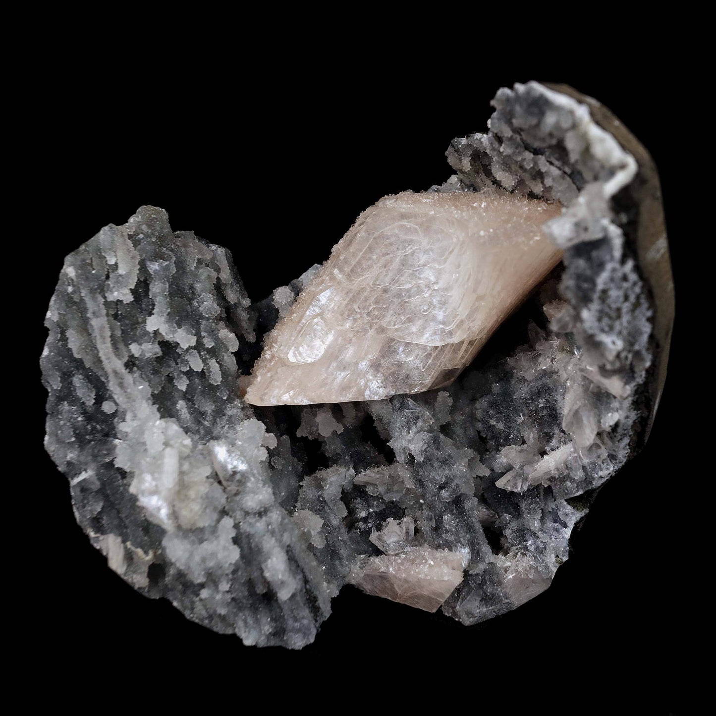 Heulandite Crystal Inside Black Chalcedony Geode Natural Mineral Speci… https://www.superbminerals.us/products/heulandite-crystal-inside-black-chalcedony-geode-natural-mineral-specimen-b-4491 Features:A stunning wedge heulandite crystal is forcefully placed in a sculptural, well-prepared basalt vug bordered with a sharply contrasting sparkling grey drusy chalcedony.The magnificent glassy, iridescent, transparent parallel-growth bladed heulandite has a lovely rich coral-pink hue with unique curving