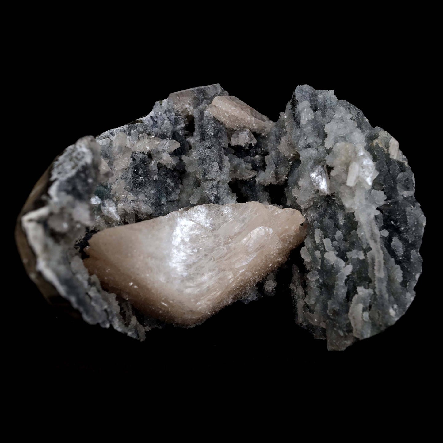 Heulandite Crystal Inside Black Chalcedony Geode Natural Mineral Speci… https://www.superbminerals.us/products/heulandite-crystal-inside-black-chalcedony-geode-natural-mineral-specimen-b-4491 Features:A stunning wedge heulandite crystal is forcefully placed in a sculptural, well-prepared basalt vug bordered with a sharply contrasting sparkling grey drusy chalcedony.The magnificent glassy, iridescent, transparent parallel-growth bladed heulandite has a lovely rich coral-pink hue with unique curving