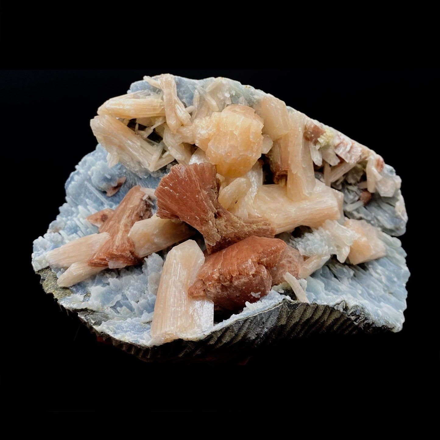 Heulandite with Stilbite on Chalcedony Big Cluster # Q10 https://www.superbminerals.us/products/heulandite-with-stilbite-on-chalcedony-big-cluster-q10 Features:Killer specimen of chocolate brown translucent Huelandite crystal double terminated in a u shape along with Stilbite crystals on druzy quartz var. chalcedony in small stalactitic formations lined its matrix. The heulandite is in pristine condition, with glassy luster faces all around.