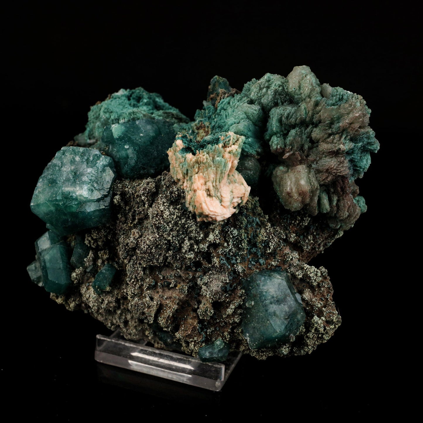 Marshy Apophyllite with Stilbite Natural Mineral Specimen # B 6566 Marshy Apophyllite Superb Minerals