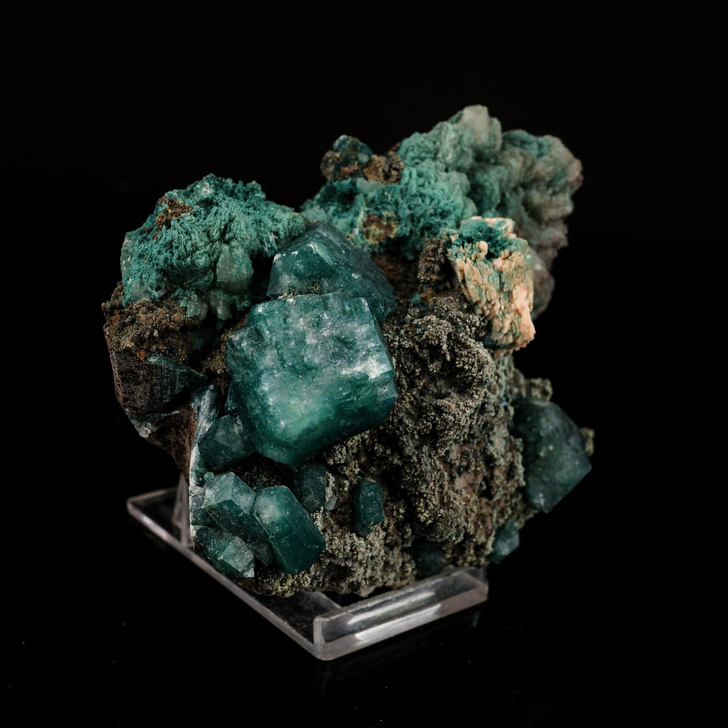 Marshy Apophyllite with Stilbite Natural Mineral Specimen # B 6566 Marshy Apophyllite Superb Minerals