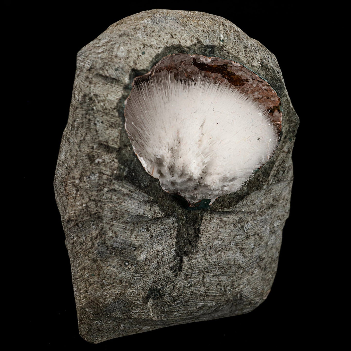 Mesolite Inside MM Quartz Geode Natural Mineral Specimen # B 6591 Mesolite Superb Minerals