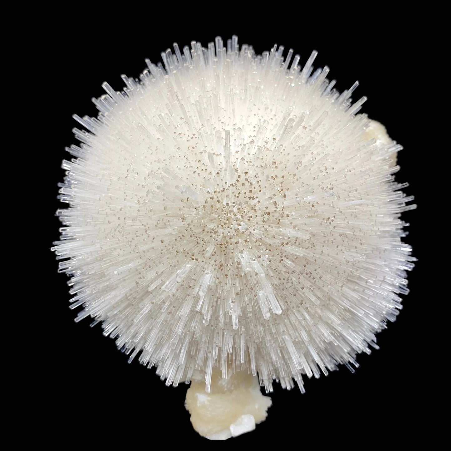An impressive and gorgeous hemispherical porcupine quill spray composed of glassy mesolite needles with calcite tips, resembling a delicate white cotton ball, is elegantly displayed on a stand. Its visual impact is truly breathtaking. Stilbite composes the base.
