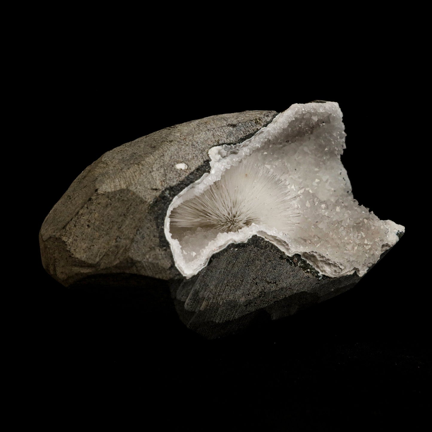 Mesolite Porcupine Spray inside MM Quartz Geode Natural Mineral Speci… https://www.superbminerals.us/products/mesolite-porcupine-spray-inside-mm-quartz-geode-natural-mineral-specimen-b-5055 Features: Very fine Mesolite needle-like soft threads are in the geode of quartz. A beautiful blend of small crystals of shiny quartz and black geode. Primary Mineral(s): MesoliteSecondary Mineral(s): N/AMatrix: N/A 4 Inch x 2.5 InchWeight : 521 GmsLocality: Pune, Maharashtra, India Year of Discovery: 2021