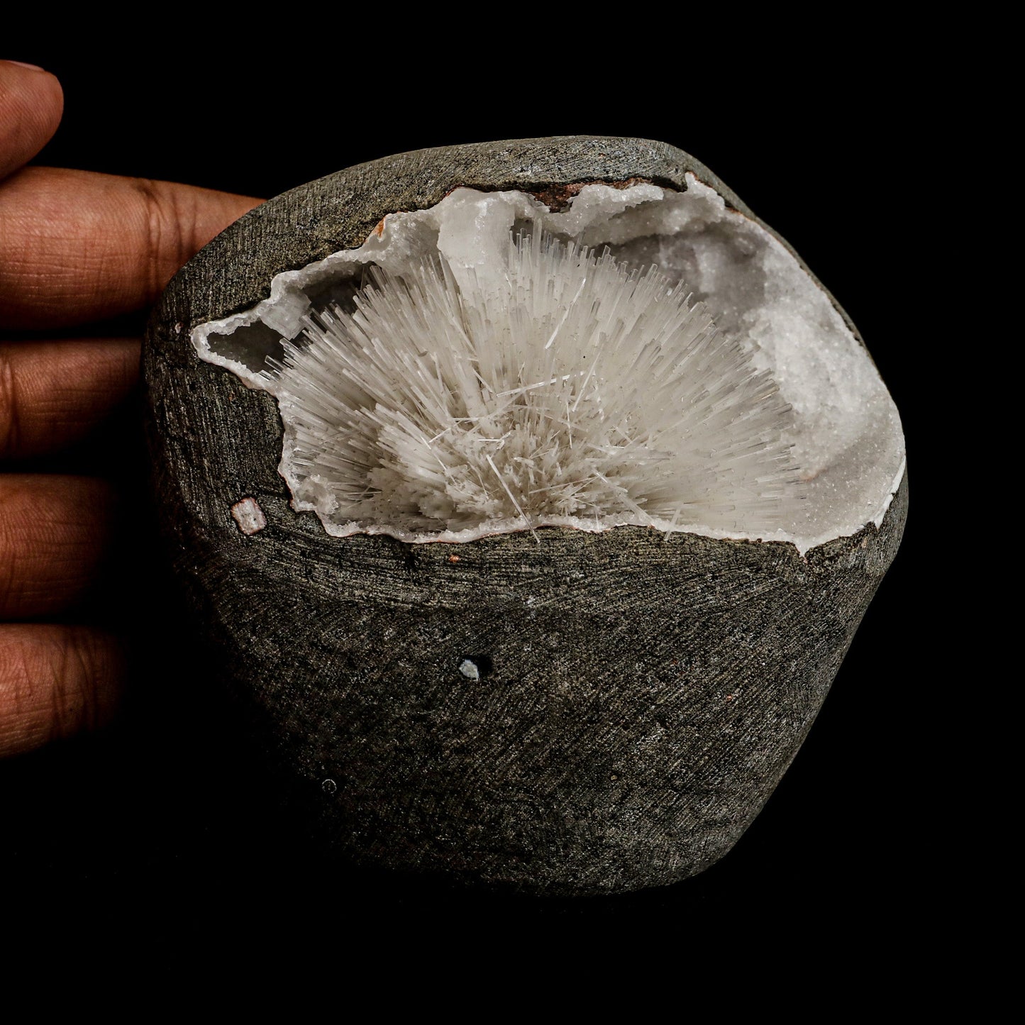 Mesolite Sphere Sprays Inside MM Quartz Geode Natural Mineral Specimen… https://www.superbminerals.us/products/mesolite-sphere-sprays-inside-mm-quartz-geode-natural-mineral-specimen-b-5063 Features: An impressive and very rich large hemispherical porcupine quill spray of glassy mesolite needles is aesthetically set inside geode of MM Quartz basalt matrix covered with contrasting frosted, tetragonal, mint-green apophyllite crystals on this very fine combination from the well-known quarries of the Pune