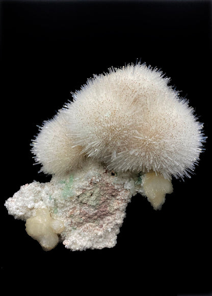 Mesolite flower formation with calcite tips, green apophyllite, and stilbite inclusions. Museum quality natural mineral specimen from Nasik, Maharashtra, India on the Deccan Plateau.