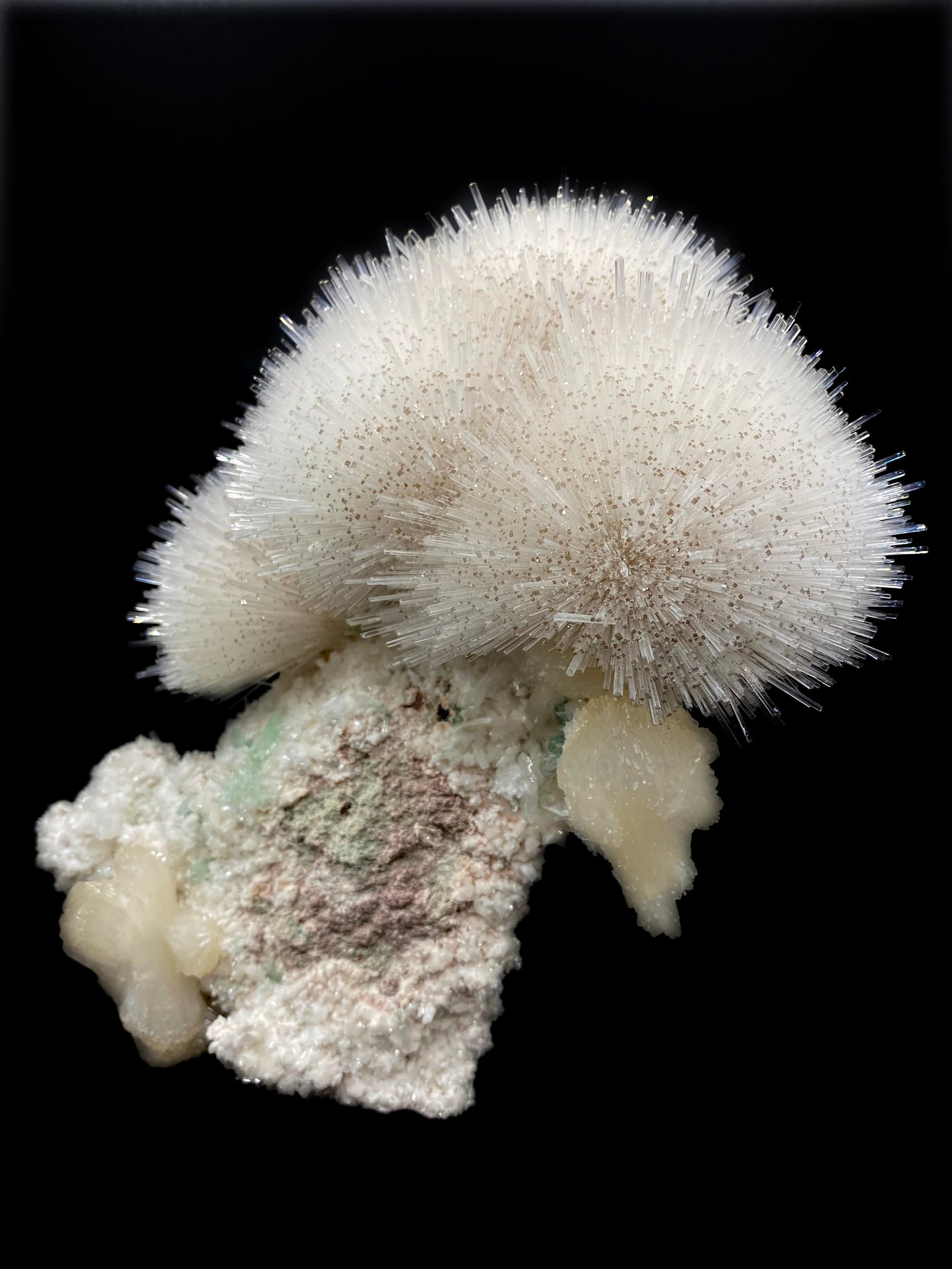Mesolite flower formation with calcite tips, green apophyllite, and stilbite inclusions. Museum quality natural mineral specimen from Nasik, Maharashtra, India on the Deccan Plateau.