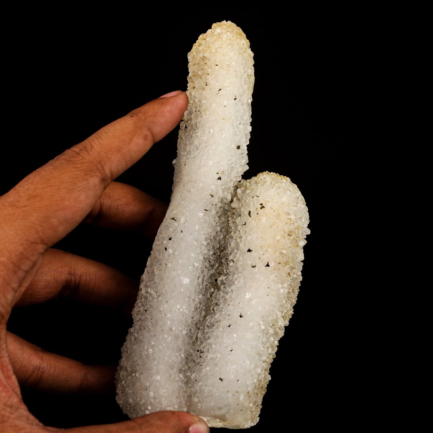 MM Quartz Coral Formation Natural Mineral Specimen # B 6541 Goosecreekite Superb Minerals