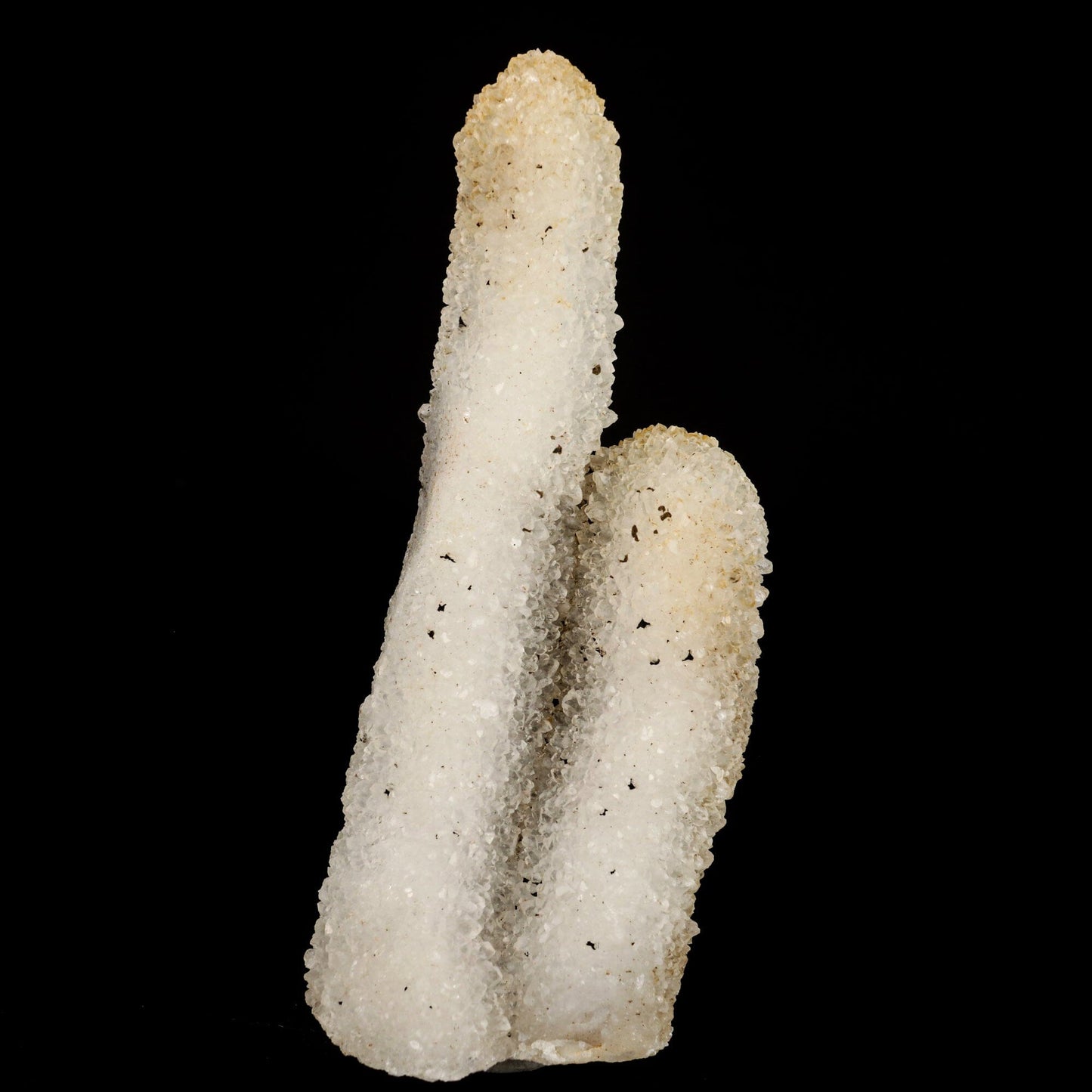 MM Quartz Coral Formation Natural Mineral Specimen # B 6541 Goosecreekite Superb Minerals
