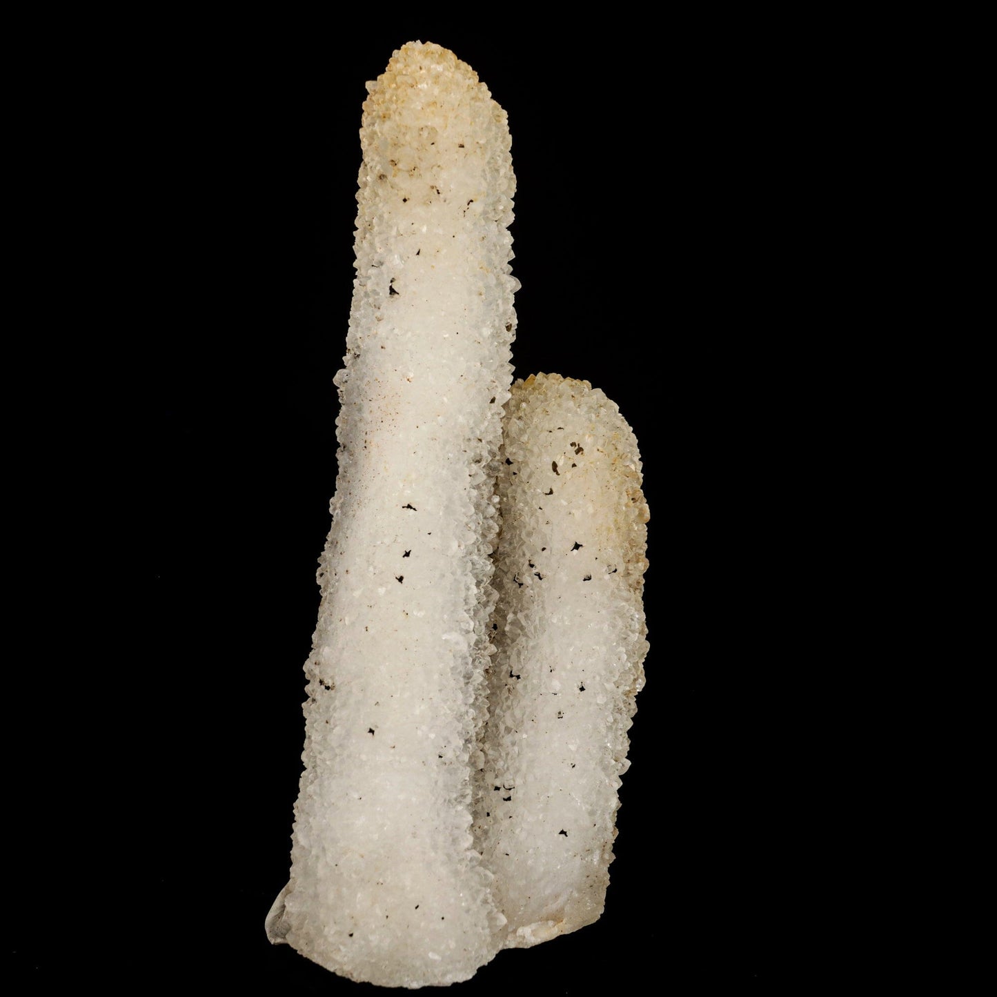 MM Quartz Coral Formation Natural Mineral Specimen # B 6541 Goosecreekite Superb Minerals