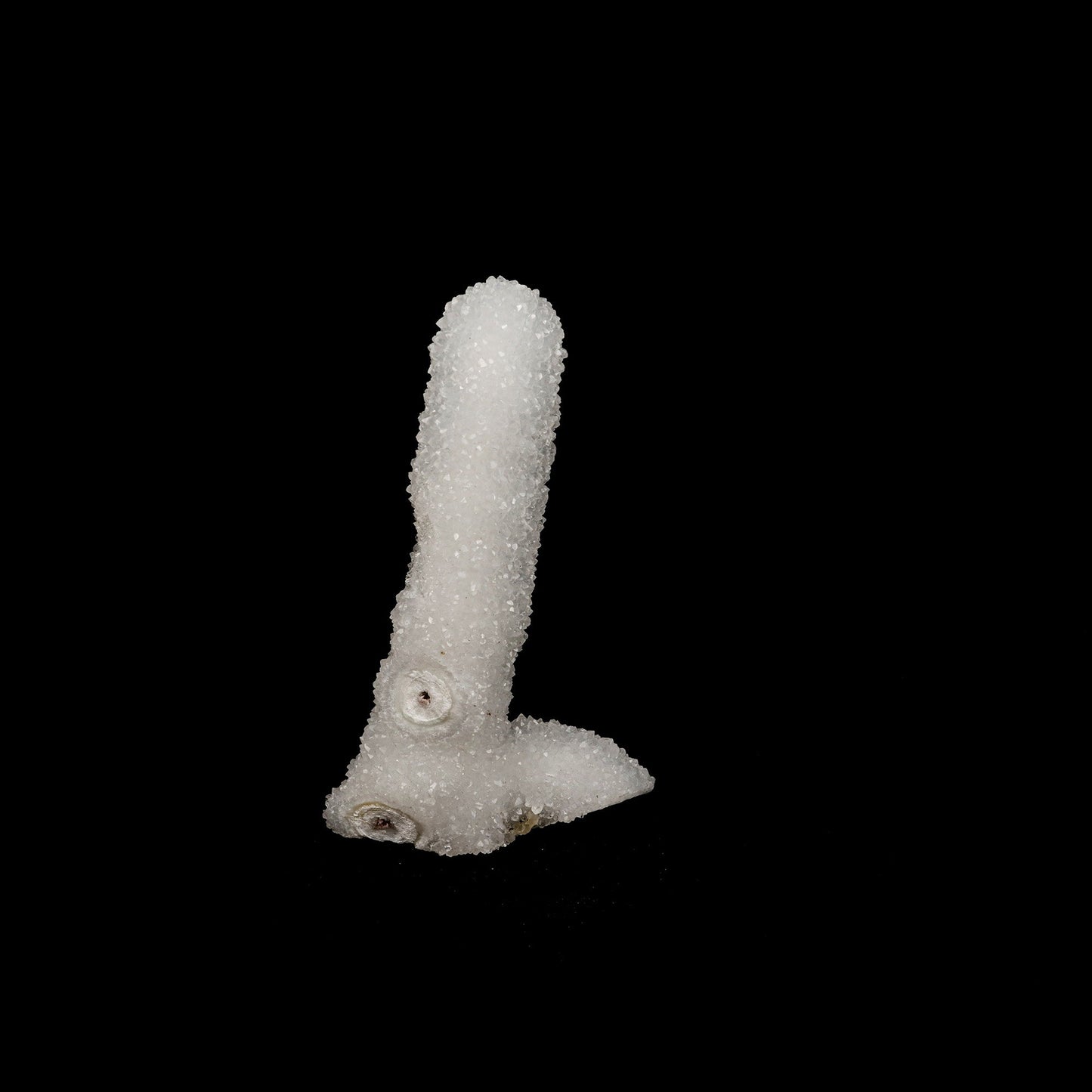 MM Quartz Sparkling Stalactite Natural Mineral Specimen # B 5252 https://www.superbminerals.us/products/mm-quartz-sparkling-stalactite-natural-mineral-specimen-b-5252 Features: A glossy, lustrous covering of Apophyllite crystals encloses bright white, microcrystalline Quartz crystals. The shiny, lustrous covering of Apophyllite crystals encloses the bright white, microcrystalline Quartz crystals. The lustre, colour, and crystal formation are all impressive. The specimen