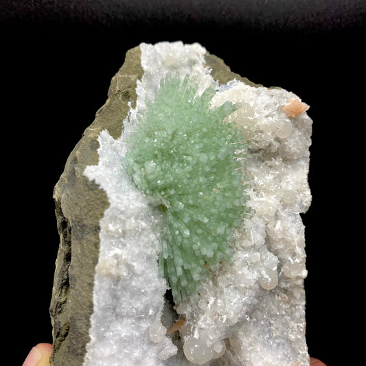 Green natrolite needle-like prisms radiate out of a millimeter quartz matrix, highly contrasted against the dark-gray basalt host rock.