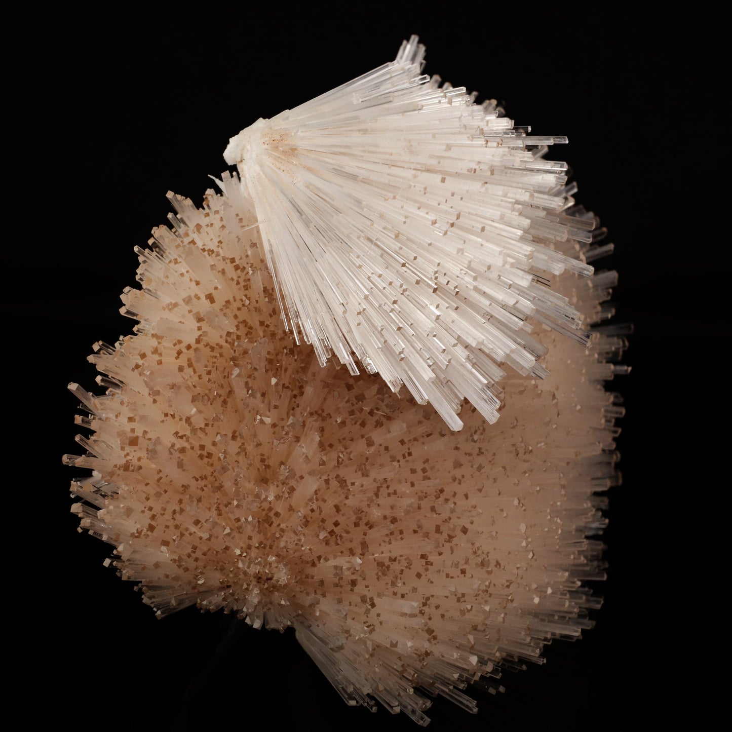 Natrolite Spray Natural Mineral Specimen # B 6049 Natrolite Superb Minerals