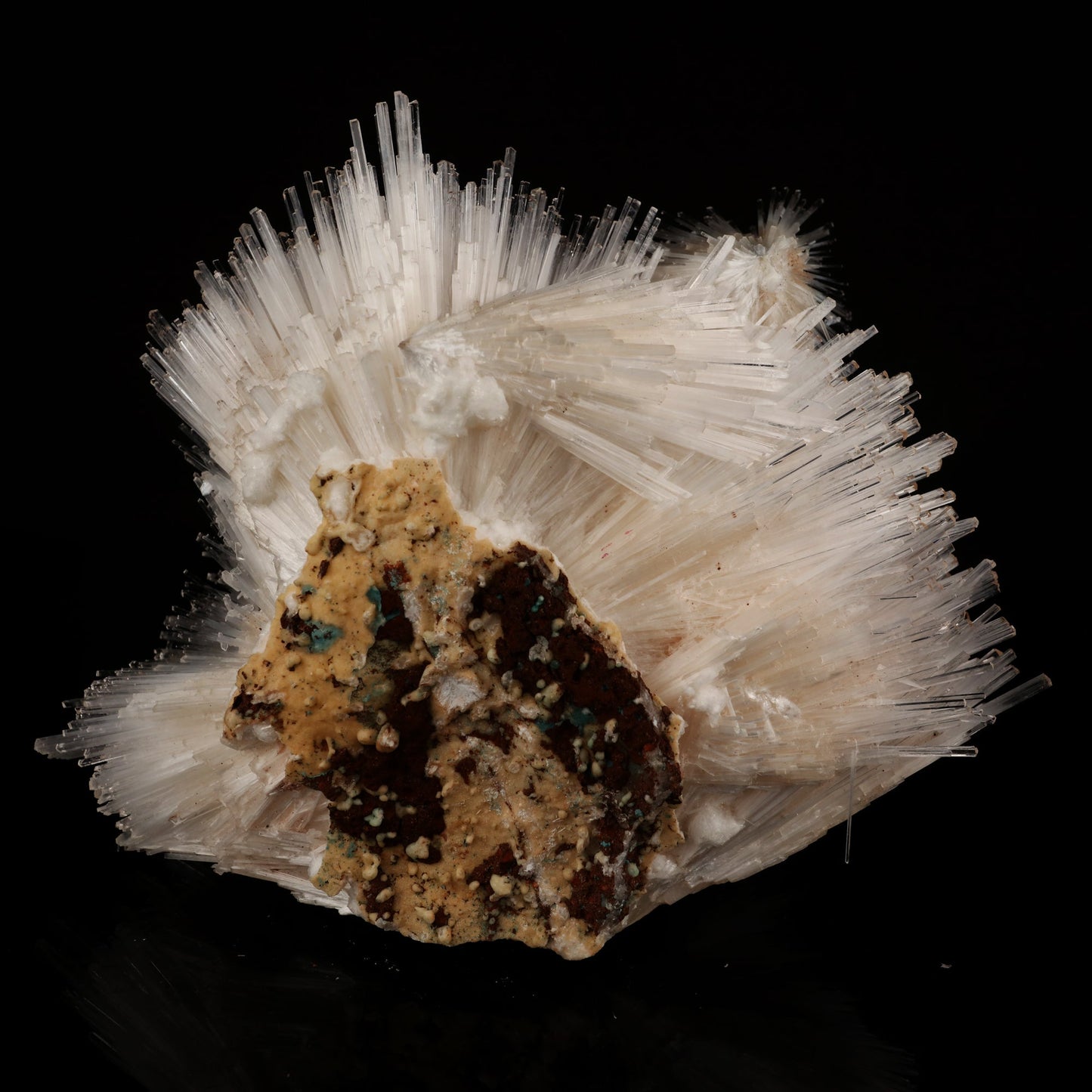 Natrolite Spray Natural Mineral Specimen # B 6049 Natrolite Superb Minerals