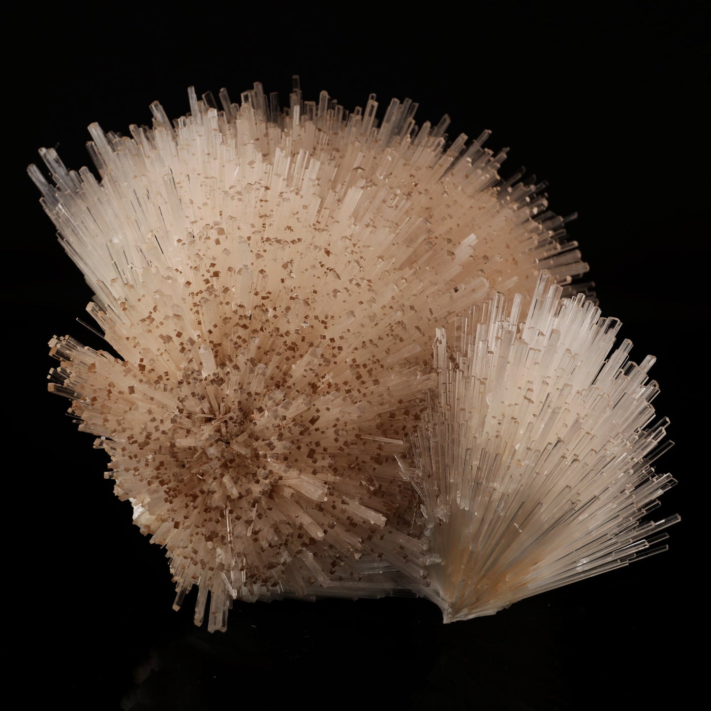 Natrolite Spray Natural Mineral Specimen # B 6049 Natrolite Superb Minerals