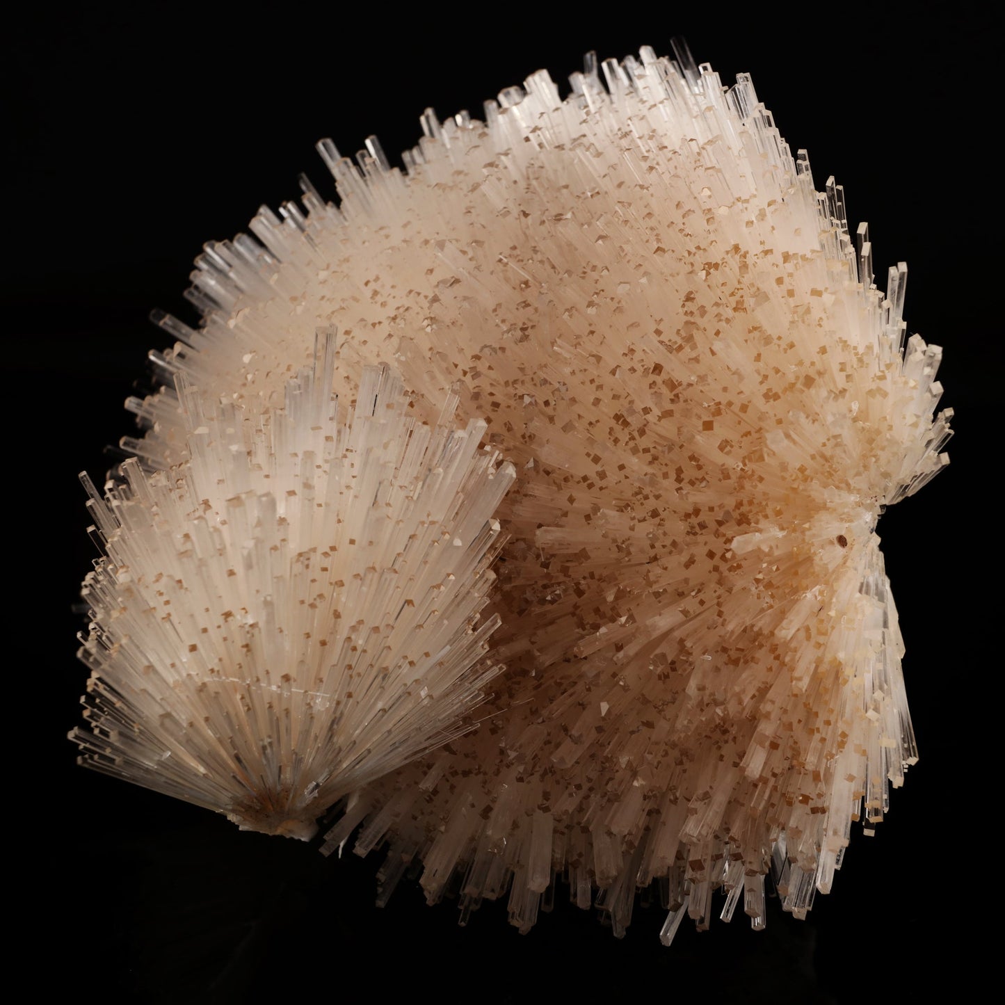Natrolite Spray Natural Mineral Specimen # B 6049 Natrolite Superb Minerals