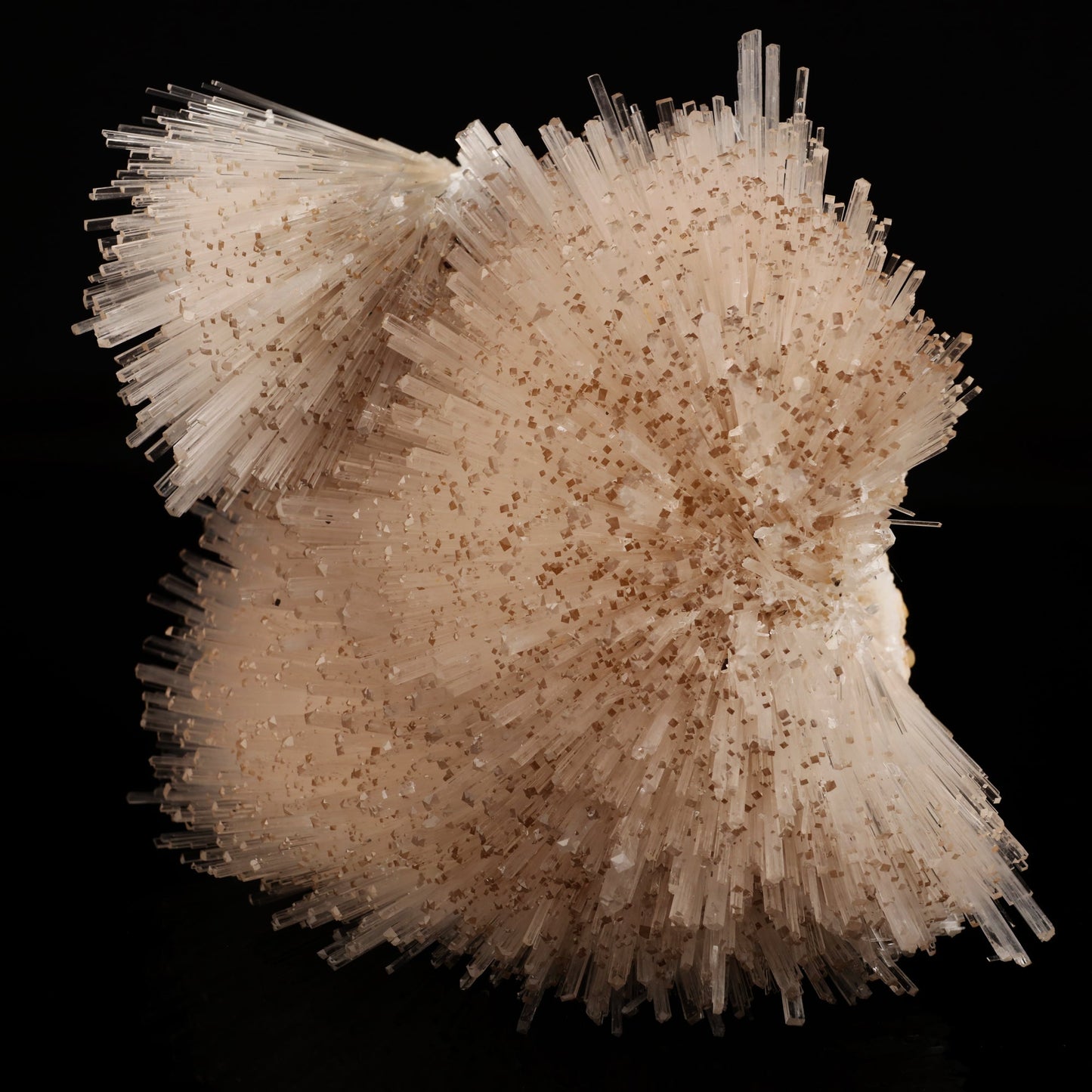 Natrolite Spray Natural Mineral Specimen # B 6049 Natrolite Superb Minerals