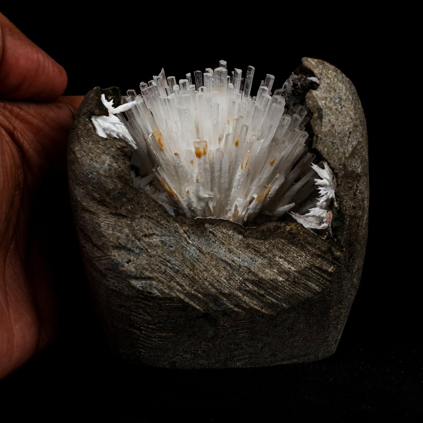 Natrolite Sprays Inside Chalcedony Geode Natural Mineral Specimen # B… https://www.superbminerals.us/products/natrolite-sprays-inside-chalcedony-geode-natural-mineral-specimen-b-5160 Features: Aesthetically situated in completely hollow basaltic vug, a diverging spray of gemmy, lustrous, Natrolite crystals to 3.5 inch in length emanate from a druse of sugary white Chalcedony. Although a few Natrolite crystals do span the vug and are attached to the ceiling, the majority are visibly terminated.